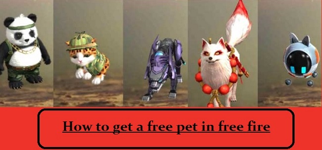 How to get free pet in free fire (Top 4 Ways)