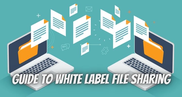 A Beginner's Guide to White Label File Sharing