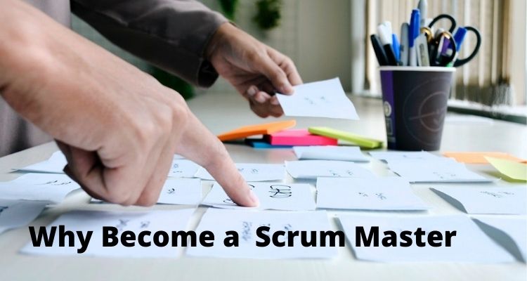 Why Become a  Scrum Master