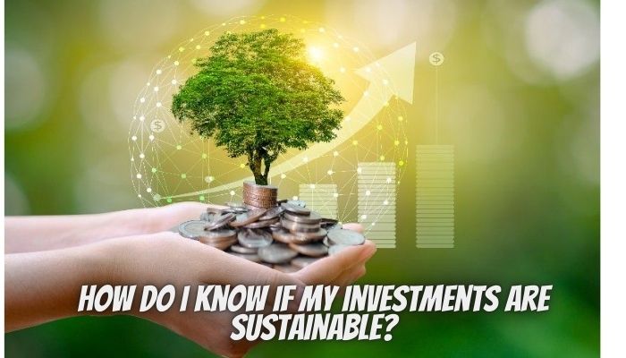 How Do I Know if My Investments Are Sustainable?