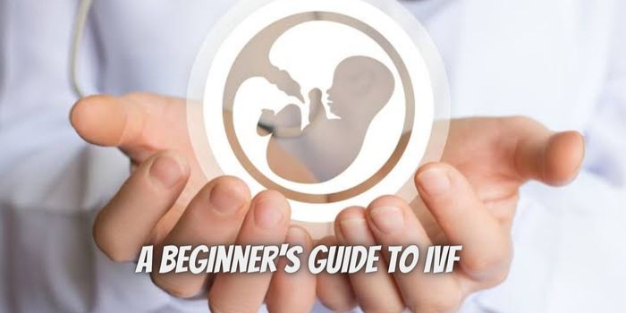 A Beginner’s Guide to IVF: What You Need to Know