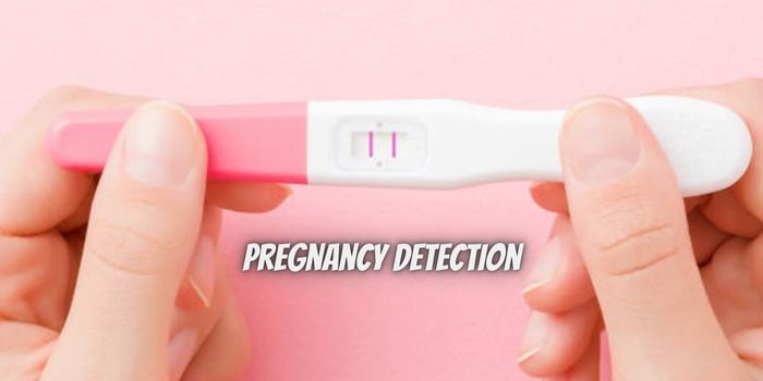 Pregnancy Detection: How Soon Can a Blood Test Confirm?