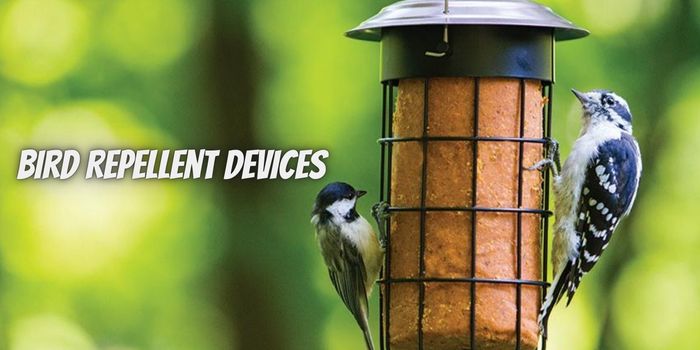 What Are The Advantages Of Using Bird Repellent Devices?