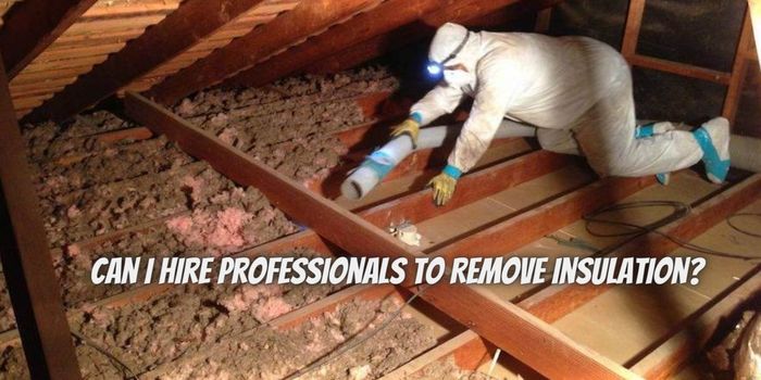 Can I Hire Professionals to Remove Insulation?