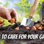 Ways to Care for Your Garden