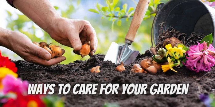 Ways to Care for Your Garden