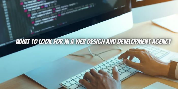 What To Look For In a Web Design and Development Agency