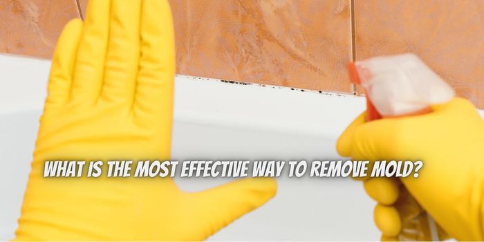 What is the most effective way to remove mold?