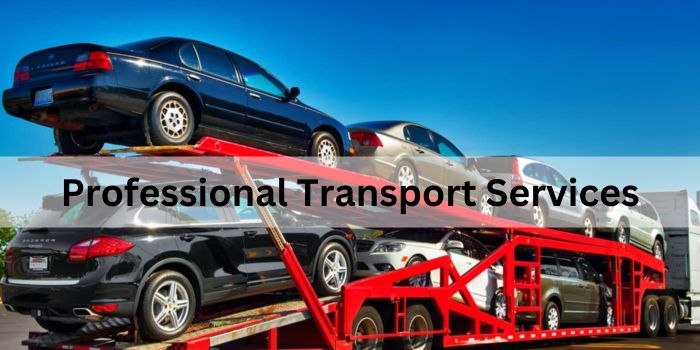 Why Transport Your Vehicle with Professional Transport Services?