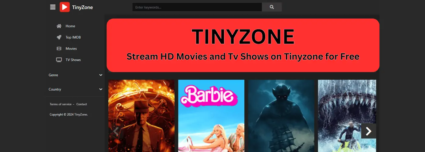 Tinyzone TV – Review, Guide & Alternatives